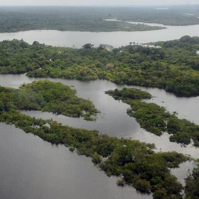 PF destrói 23 balsas usadas em garimpo ilegal na Amazônia