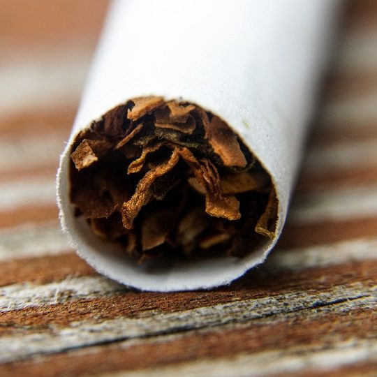 Produção de cigarros emite mais de 80 milhões de toneladas de CO2